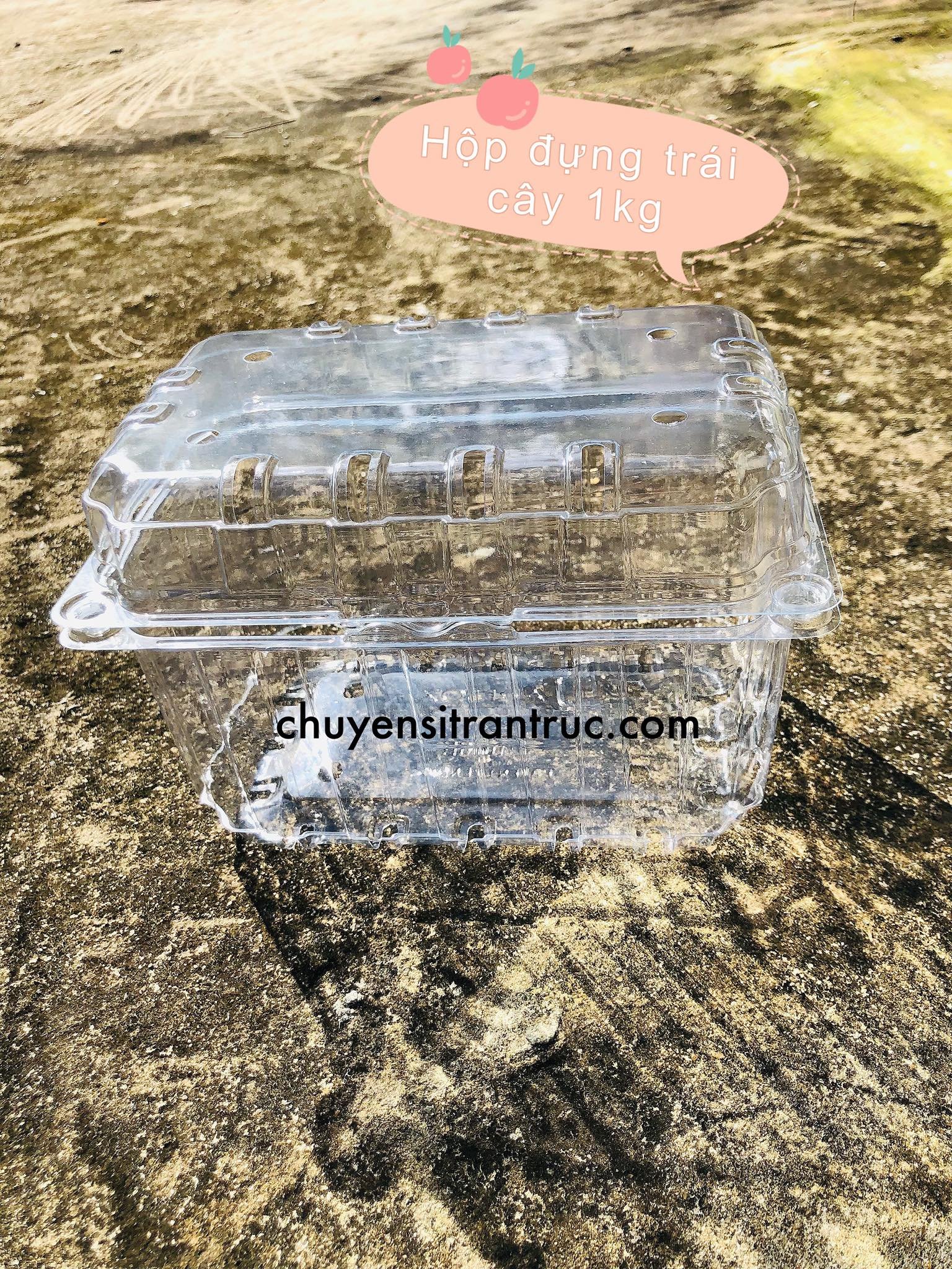 Hộp đựng trái cây nhập khẩu