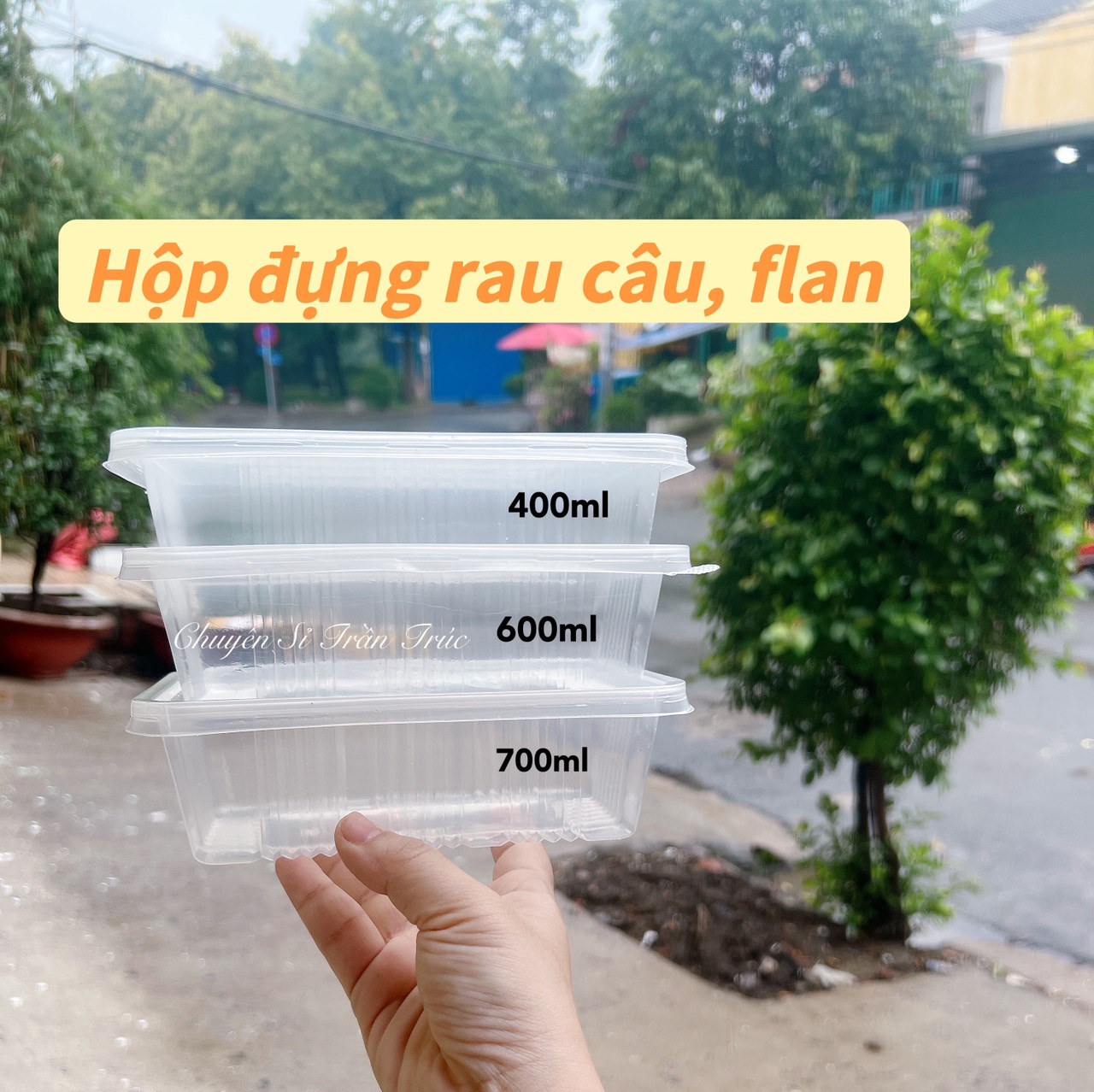 hộp chữ nhật sọc 1027, hộp chữ nhật sọc 1028, hộp chữ nhật sọc 1029