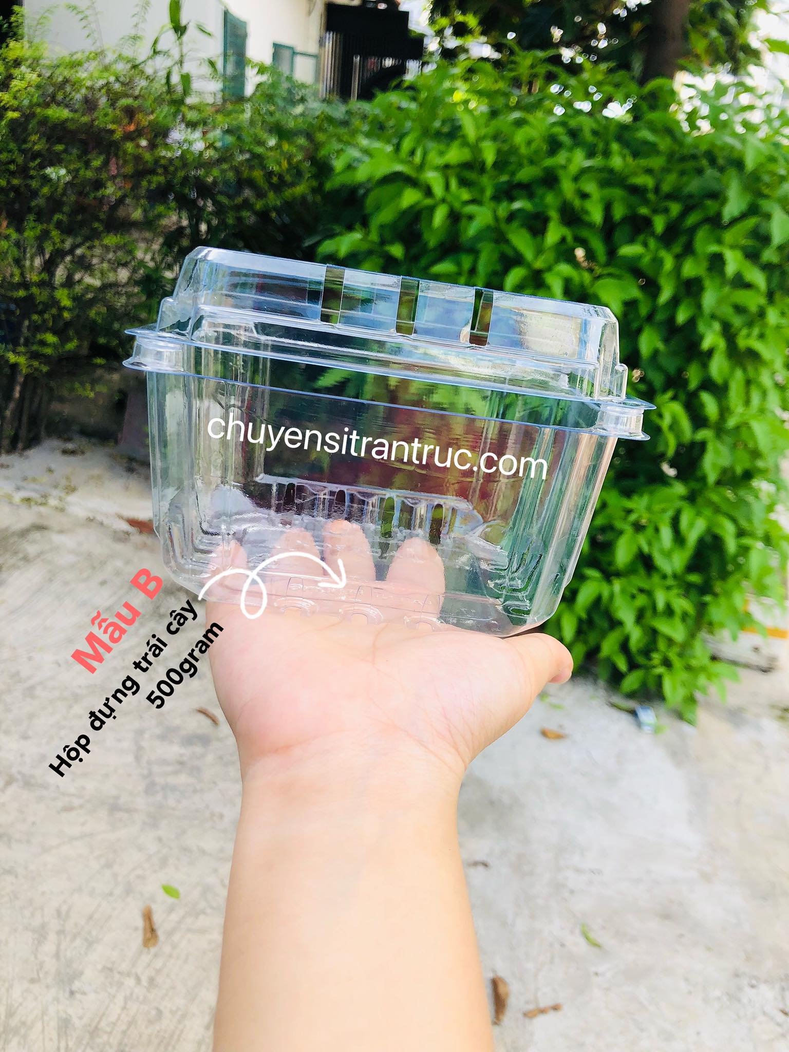 hộp nhựa đựng trái cây p500d, hop dung trai cay p500d