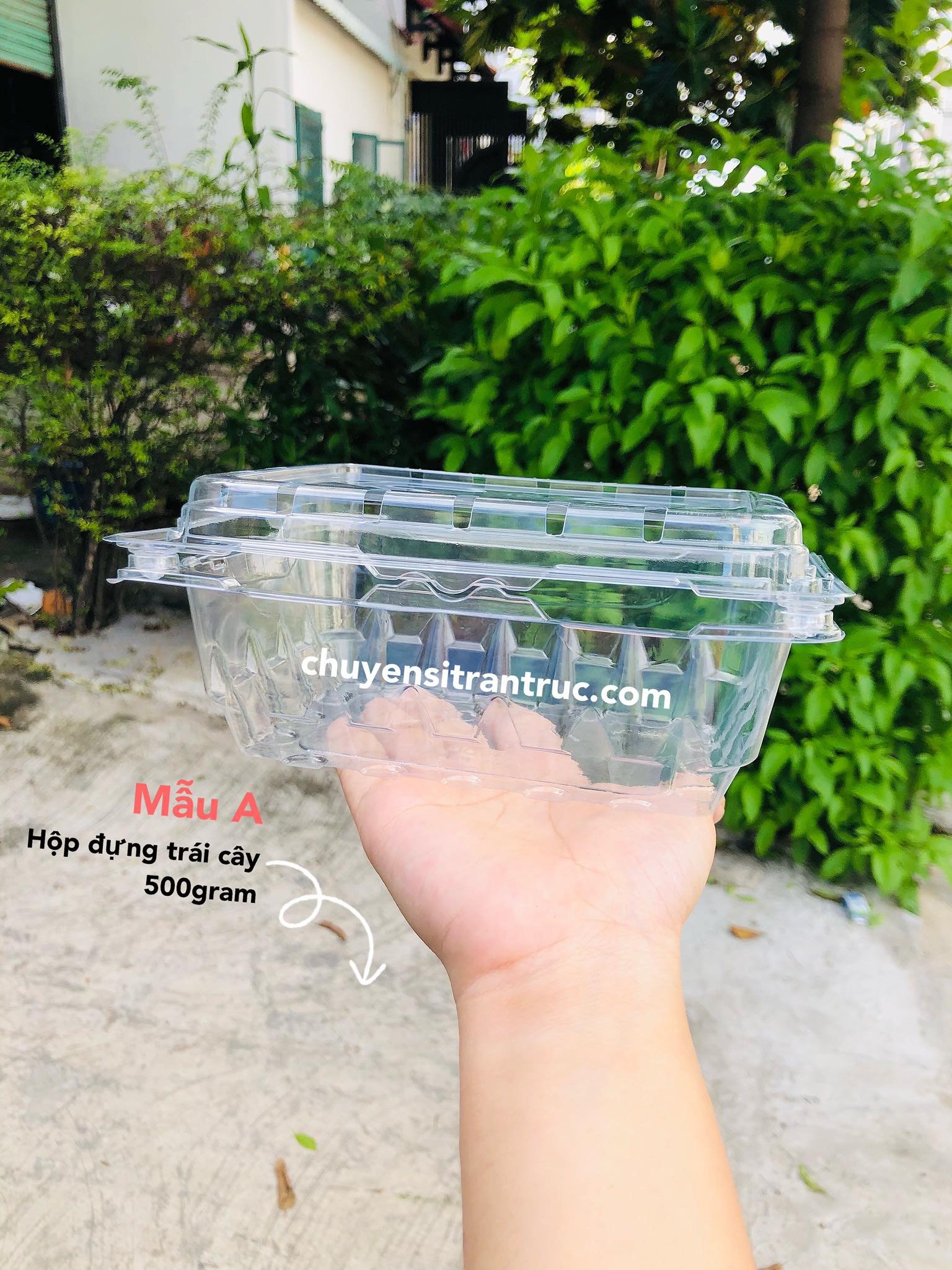 hộp nhựa đựng trái cây p500c 500px, hop nhua dung trai cay p500c 500px