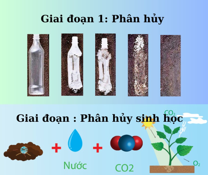 Quá trình phân hủy chai nhựa