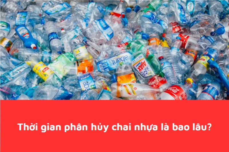 Thời gian phân hủy chai nhựa là bao lâu? 