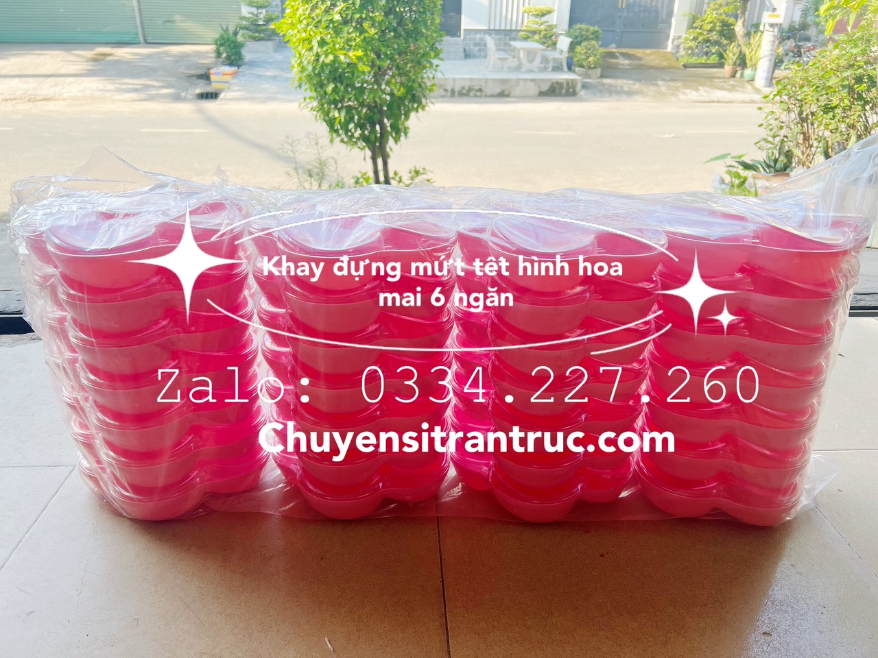 KHAY MỨT TẾT hình hoa mai 6 ngăn