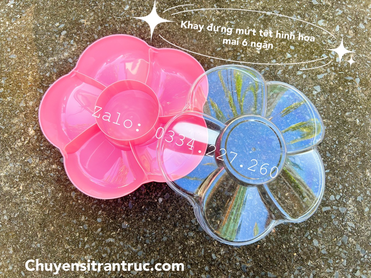 hộp hoa mai mứt 6 ngăn