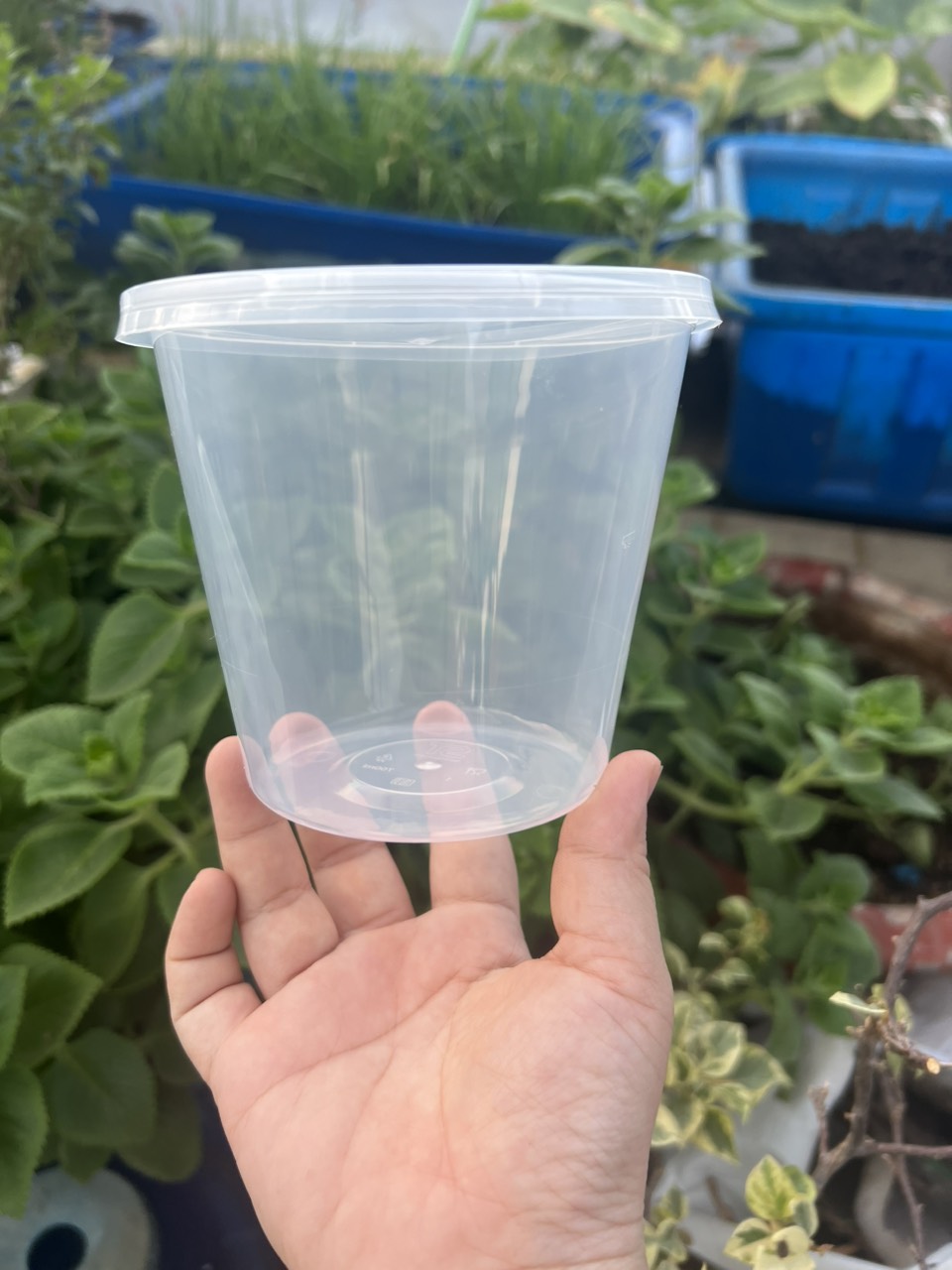 thố nhựa tròn 1000ml