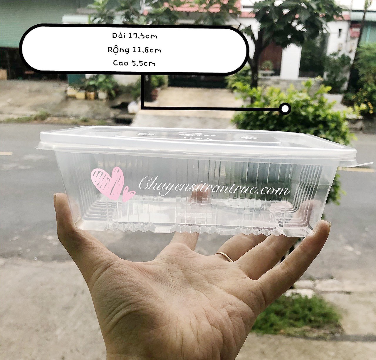 Hộp nhựa rau câu 700ml