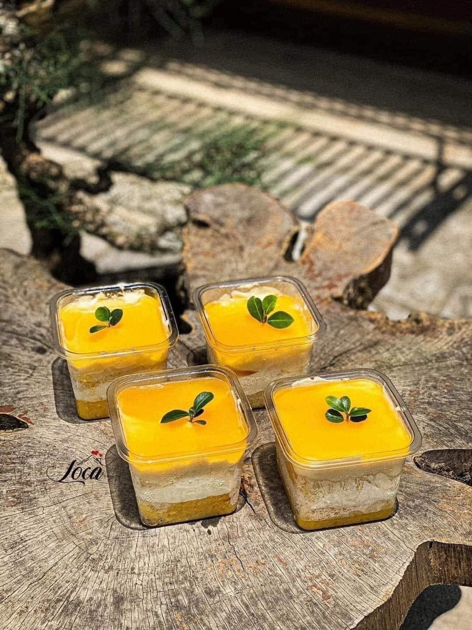 hủ nhựa vuông đựng bánh hủ nhựa vuông đựng bánh