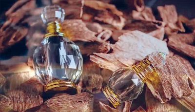 LÀM NƯỚC HOA DẠNG XỊT (PERFUME) THEO PHONG CÁCH RIÊNG