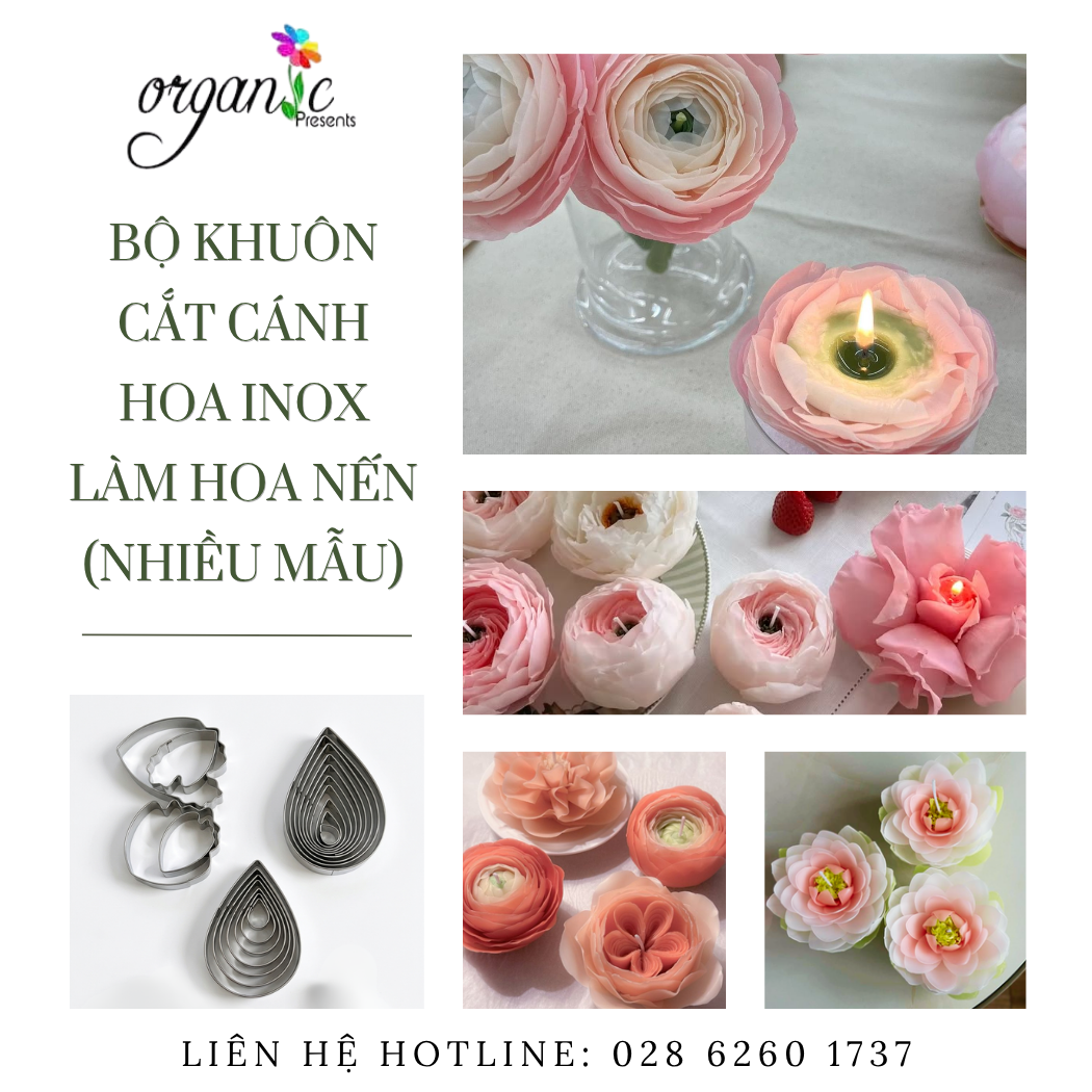 Bộ khuôn cắt cánh hoa inox làm hoa nến