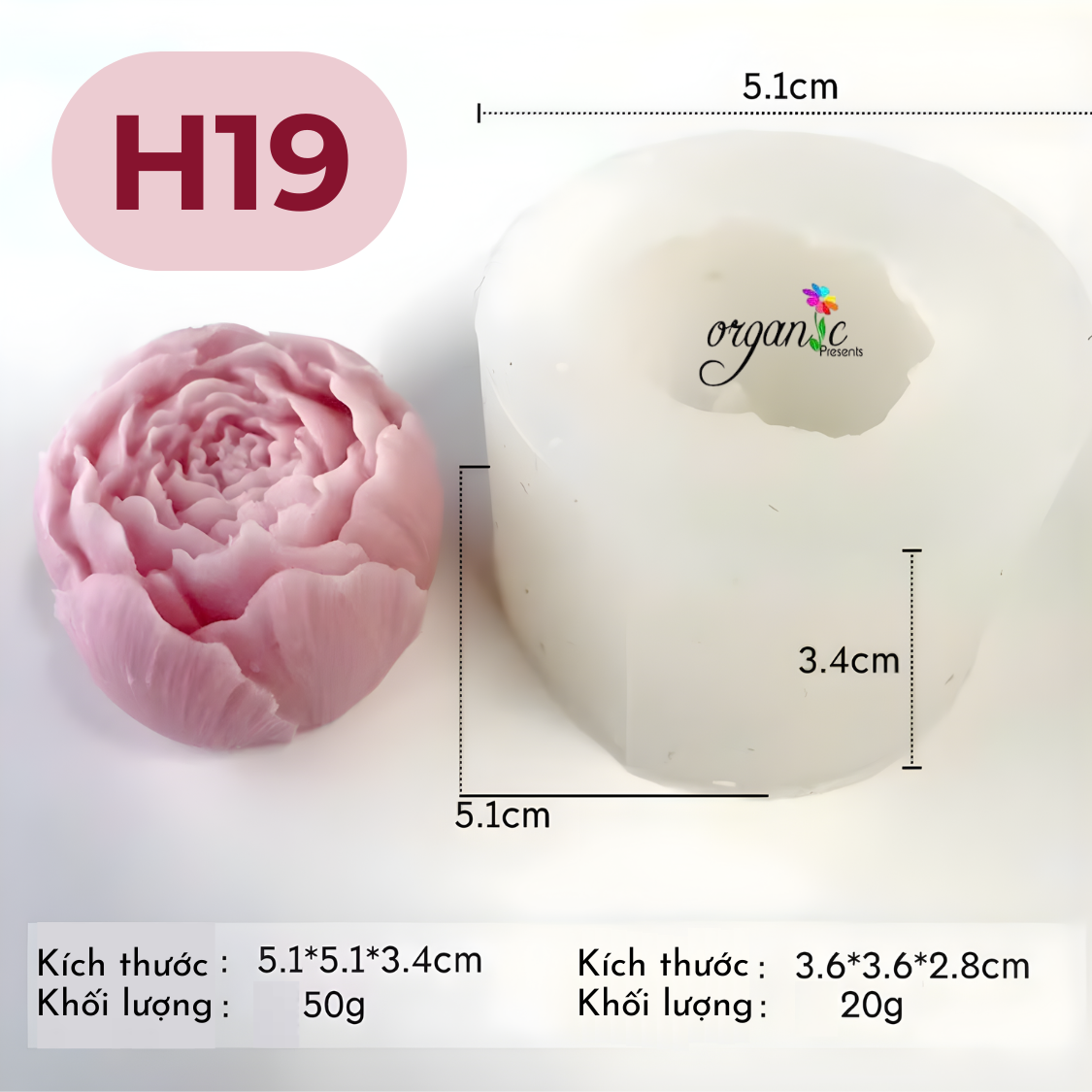 KHUÔN SILICON HOA MẪU ĐƠN NHÍ (H19)