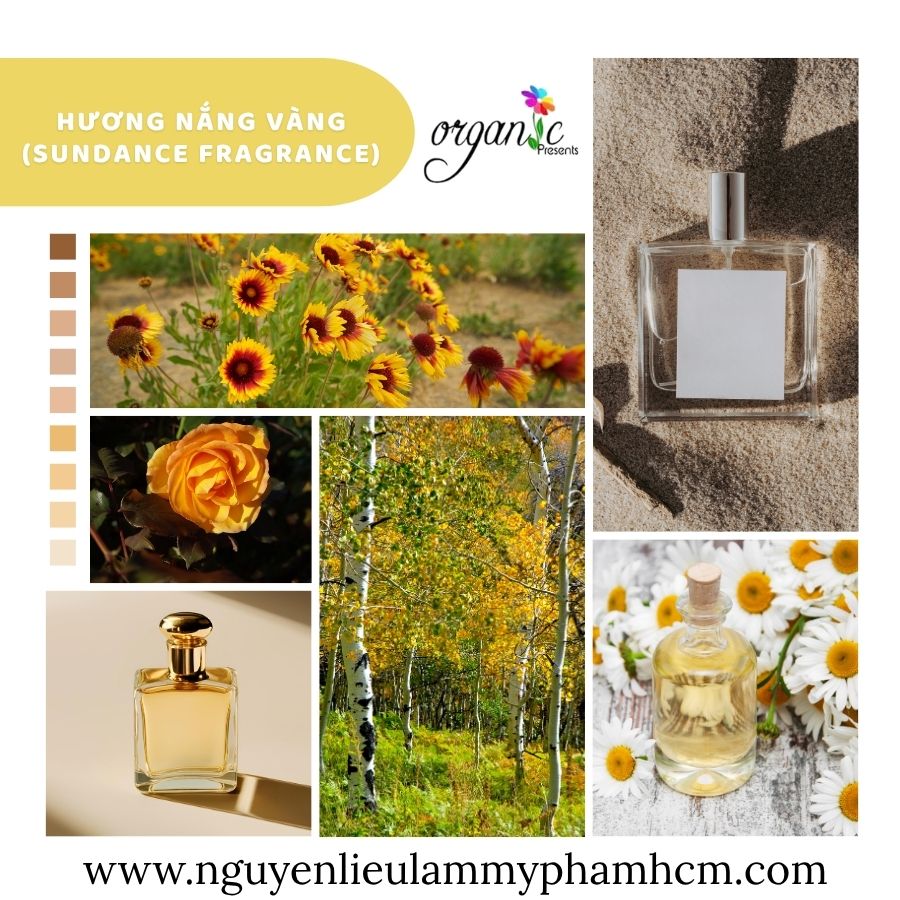 HƯƠNG NẮNG VÀNG (SUNDANCE FRAGRANCE)