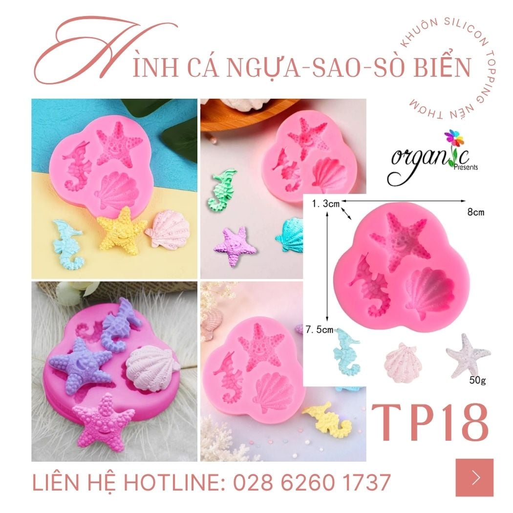 Hình cá ngựa, sao biển và sò biển (TP18)
