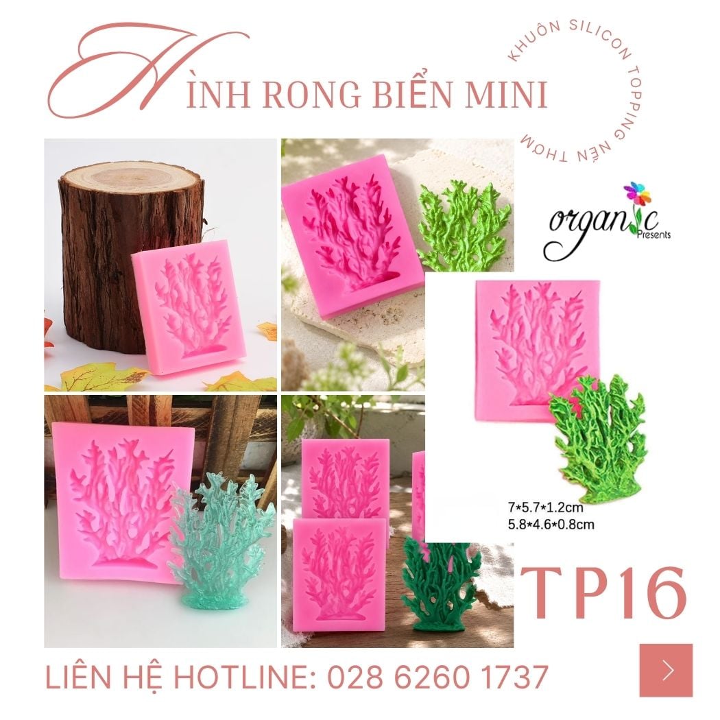 Khuôn silicon topping hình rong biển TP16