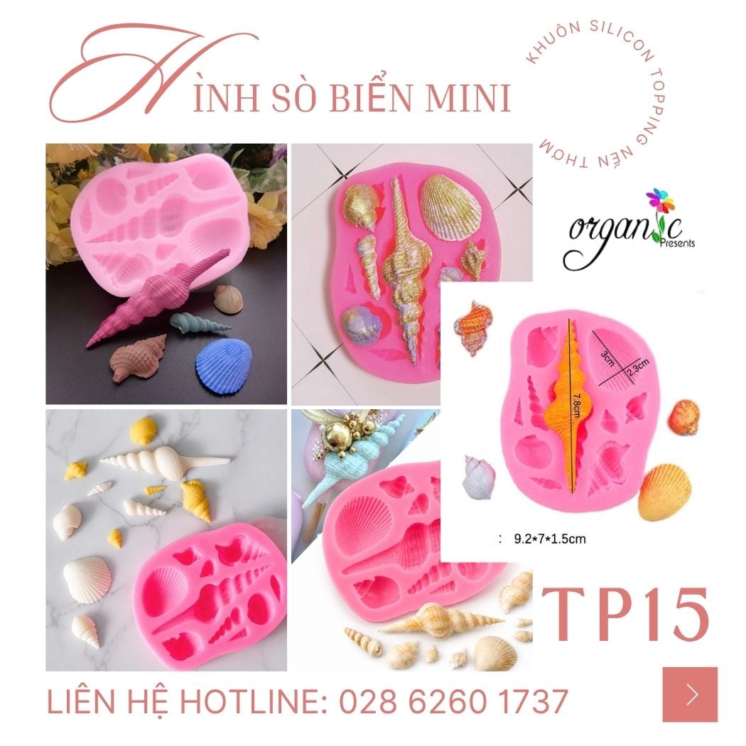 Khuôn silicon topping hình sò biển mini TP15