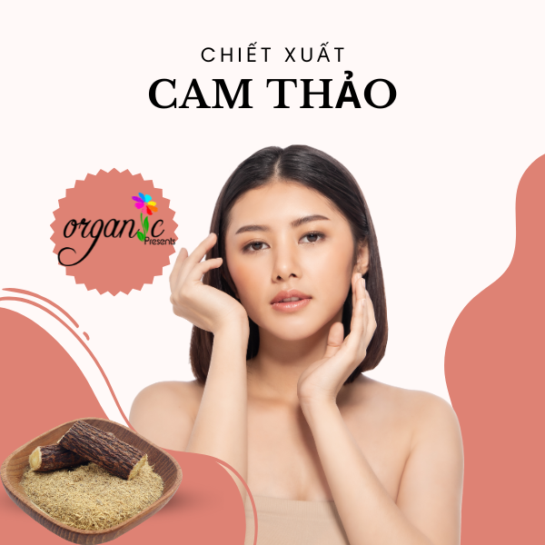 LICORICE ROOT EXTRACT (CHIẾT XUẤT CAM THẢO - PHÁP)