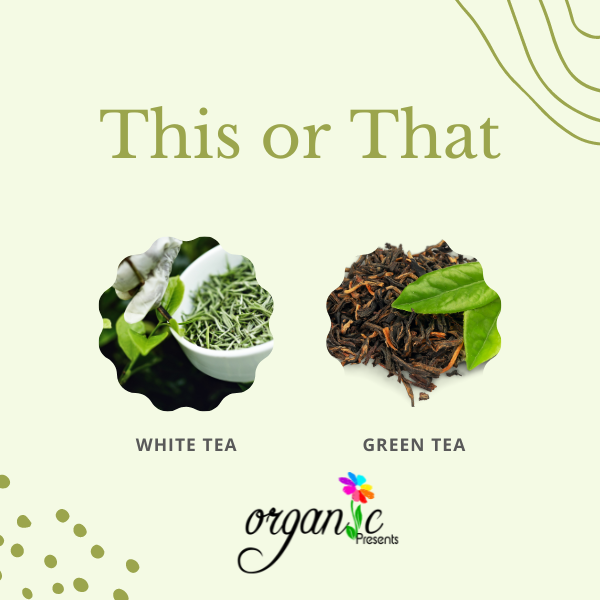 WHITE TEA EXTRACT (CHIẾT XUẤT TRÀ TRẮNG PHÁP)