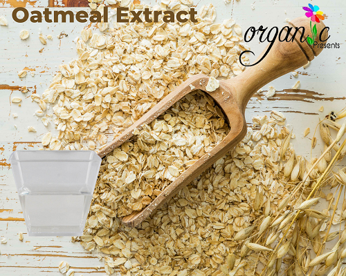 OATMEAL EXTRACT (CHIẾT XUẤT YẾN MẠCH)
