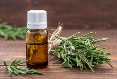 TINH DẦU HƯƠNG THẢO (ROSEMARY)