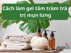 CÁCH LÀM GEL TẮM TRONG SUỐT TRỊ MỤN LƯNG VỚI TRÀM TRÀ