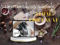 CÁCH LÀM DẦU GỘI THIÊN NHIÊN DỊU NHẸ VỚI CAO THẢO MỘC