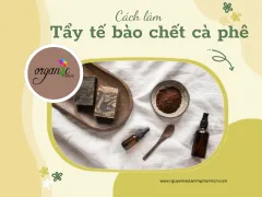 CÁCH LÀM TẨY TẾ BÀO CHẾT HẠT CÀ PHÊ