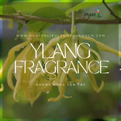 YLANG FRAGRANCE (HƯƠNG NGỌC LAN TÂY)