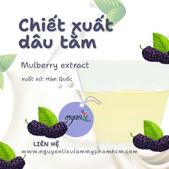 CHIẾT XUẤT DÂU TẰM (MULBERRY EXTRACT - HÀN QUỐC)