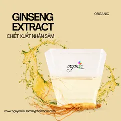 CHIẾT XUẤT NHÂN SÂM (GINSENG EXTRACT - HÀN QUỐC)