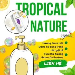 TROPICAL NATURE (FRAGRANCE OIL)