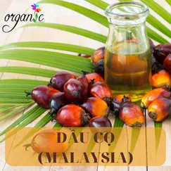 DẦU CỌ (MALAYSIA)