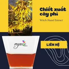 CHIẾT XUẤT CÂY PHỈ (WITCH HAZEL EXTRACT - ITALIA)
