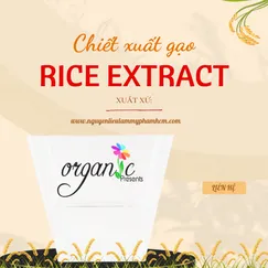 CHIẾT XUẤT GẠO (RICE EXTRACT - TBN)