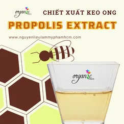 CHIẾT XUẤT KEO ONG (PROPOLIS EXTRACT - HÀN QUỐC)