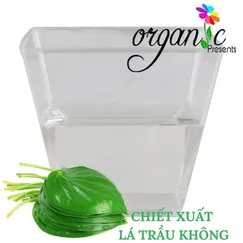 CHIẾT XUẤT TRẦU KHÔNG (VIỆT NAM)