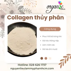 COLLAGEN THỦY PHÂN (PEPTIDE THỦY PHÂN)