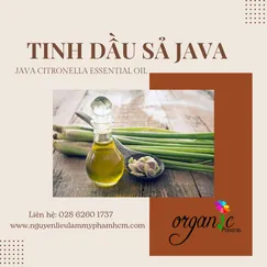 TINH DẦU SẢ JAVA (JAVA CITRONELLA)