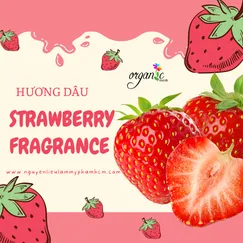 HƯƠNG DÂU (STRAWBERRY FR - SINGAPORE)