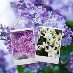 HƯƠNG HOA TỬ ĐINH HƯƠNG & BÁCH HỢP (LILAC & LILIES)