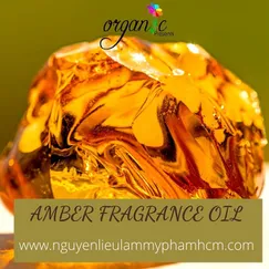 AMBER FRAGRANCE (HƯƠNG HỔ PHÁCH -P&J  MỸ)