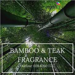 BAMBOO & TEAK FRAGRANCE (HƯƠNG TRE & GIÁ TỴ - MỸ)