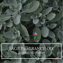 SAGE FRAGRANCE (HƯƠNG XÔ THƠM - VN)