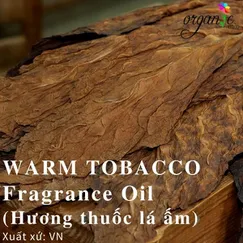 WARM TOBACCO FRAGRANCE (HƯƠNG THUỐC LÁ ẤM - VN)