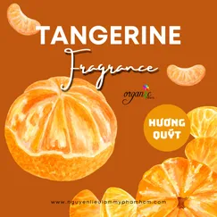 HƯƠNG QUÝT (TANGERINE FR - SINGAPORE)