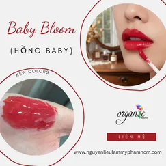 BABY BLOOM (HỒNG BABY)