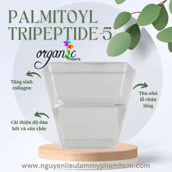 PALMITOYL TRIPEPTIDE 5 - HOẠT CHẤT CHỐNG LÃO HOÁ , CHỐNG NẾP NHĂN