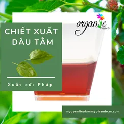 MULBERRY EXTRACT (CHIẾT XUẤT DÂU TẰM - PHÁP)