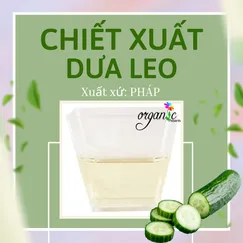 CUCUMBER FRUIT EXTRACT (CHIẾT XUẤT DƯA LEO - PHÁP)