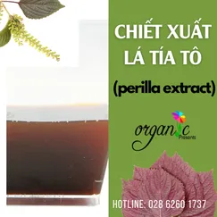 CHIẾT XUẤT LÁ TÍA TÔ (PERILLA EXTRACT - VN)