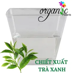 CHIẾT XUẤT TRÀ XANH (VIỆT NAM)