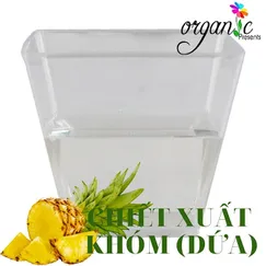 CHIẾT XUẤT QUẢ KHÓM (DỨA)